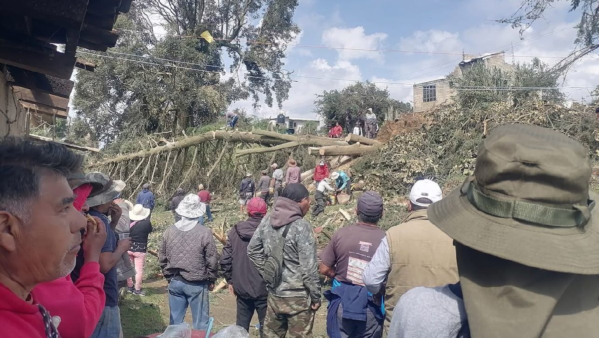 La tromba en Villa de Allende provocó caída árboles y daños en viviendas. Foto: (Especial)