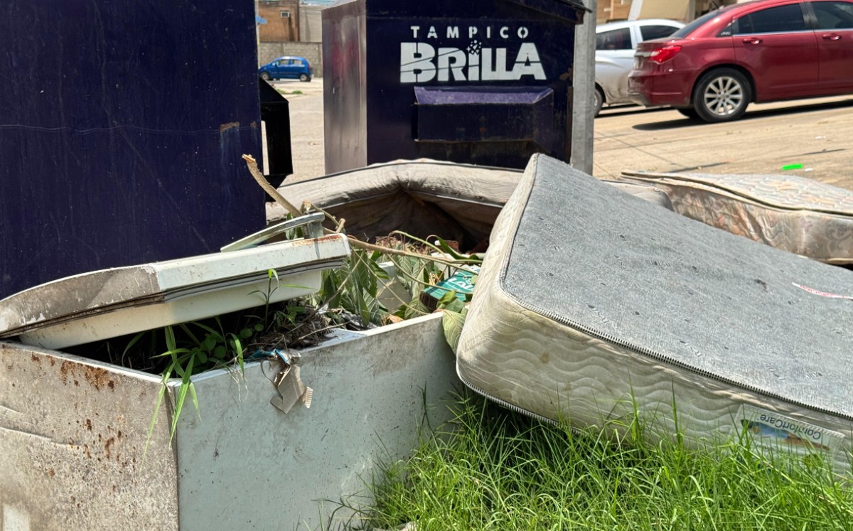 Los vecinos insisten en que la solución debe ser el retiro definitivo de los contenedores.