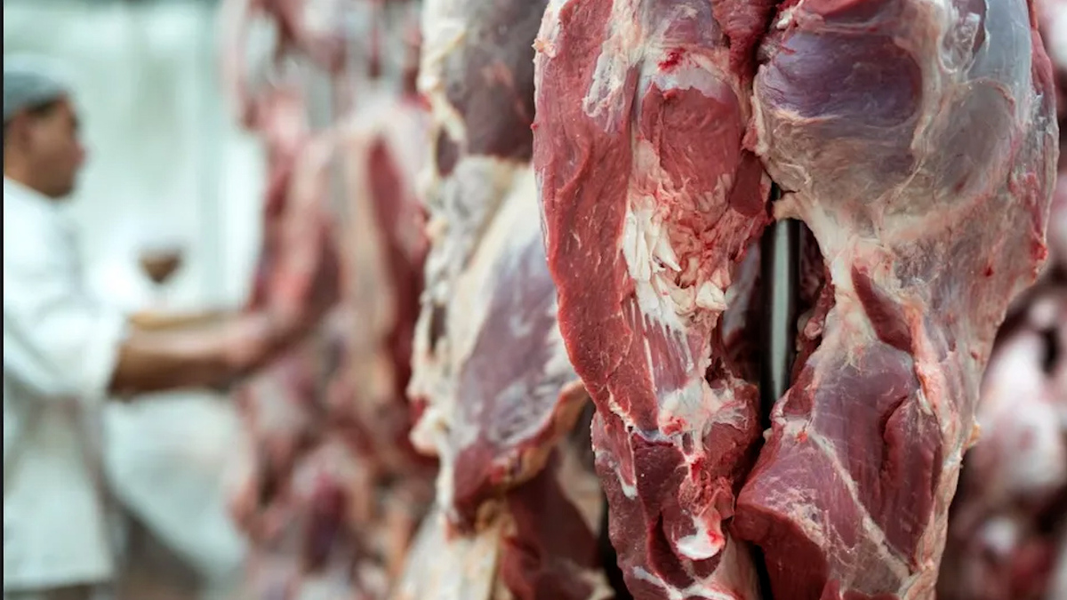 Aranceles mexicanos al cerdo y pollo afectarían a 22 mil familias estadounidenses