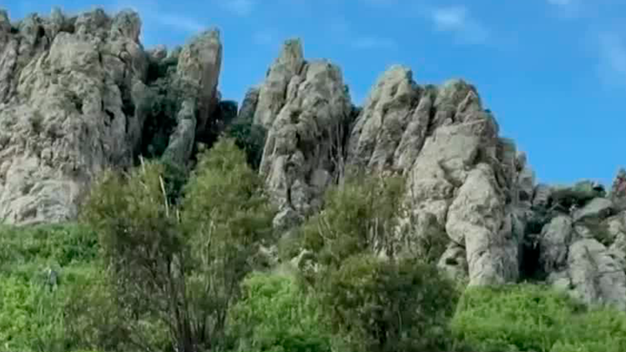 Ciudadanos ponen en marcha proyecto de reforestación en el Cerro de 'La Bufa' en Zacatecas