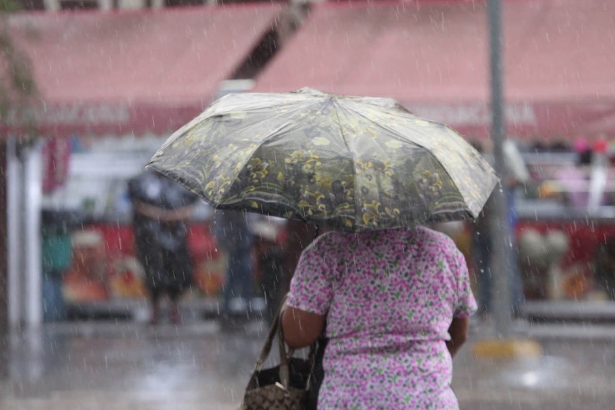 Este es el clima para La Laguna HOY: Así estará el pronóstico del tiempo para Saltillo, Torreón, Coahuila y Durango este 23 de julio. | Roberto Amaya