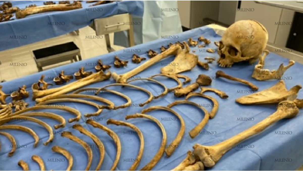 Cuerpos sin identificar en Guanajuato | Wendoline Adame.