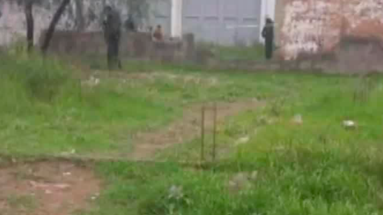 Localizan el cuerpo de un recién nacido en un baldío de SLP; perros devoraron parte del cuerpo