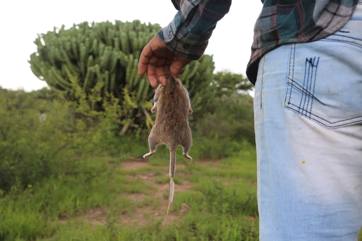 En el rancho El Saucito, ubicado en el municipio de San Felipe, al norte de Guanajuato, este caldo es común entre los pobladores. | Dany Béjar