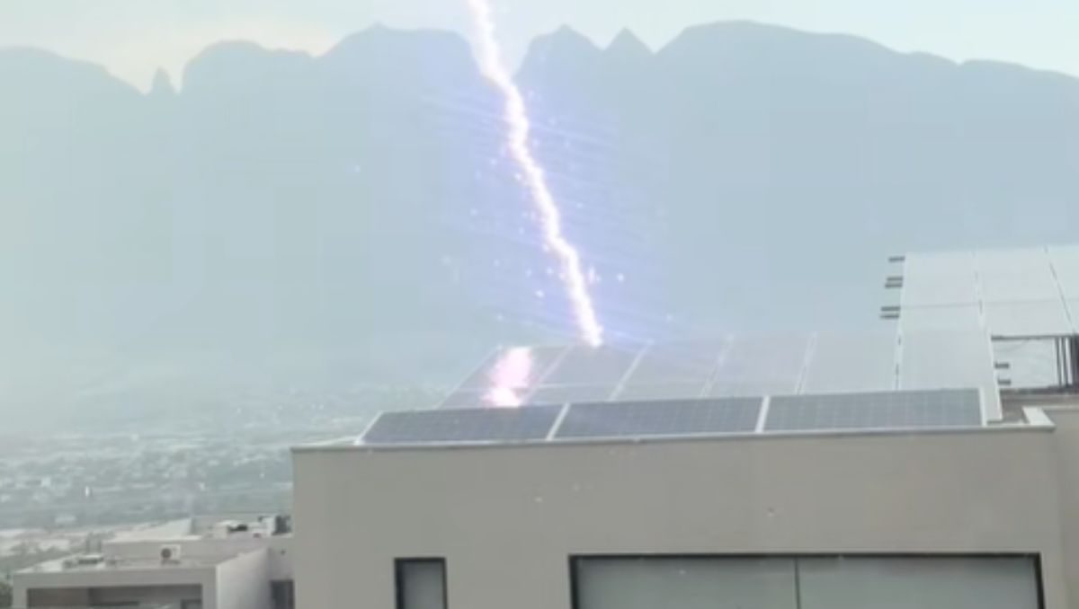 El video se viralizó rápidamente al representar un fenómeno natural con una claridad poco común | Foto: Especial
