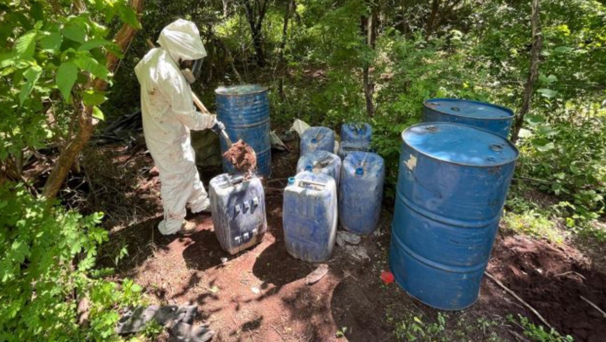 Autoridades desmantelaron campamentos del narco en Sinaloa. | SSPC