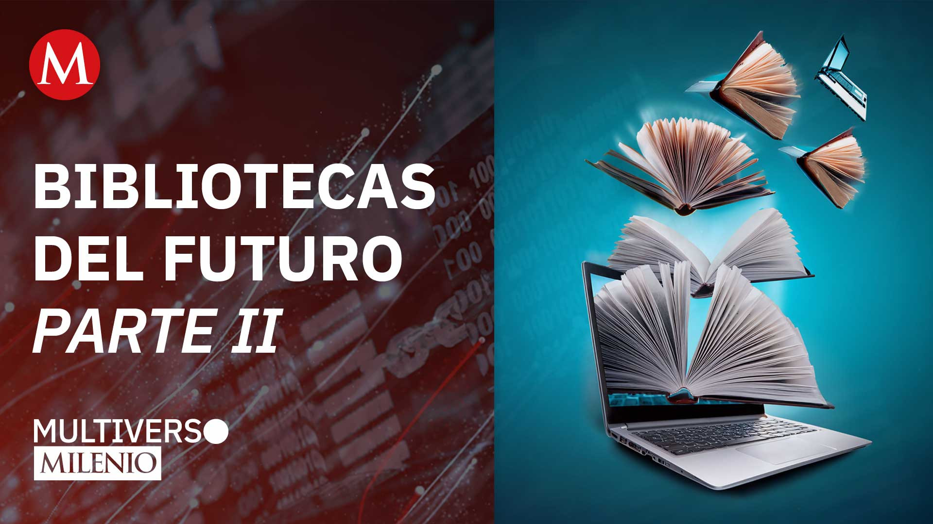 Bibliotecas: ¿democratizar el acceso o fomentar la lectura? | Multiverso Milenio