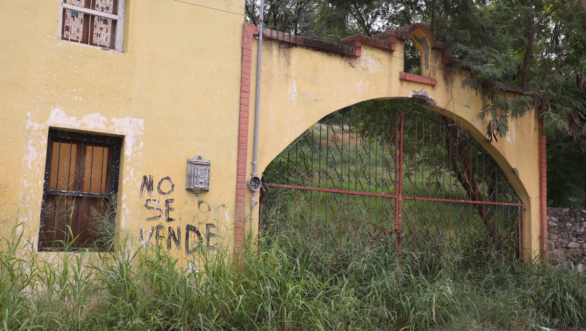 Despojo de terrenos. Luis Guerra