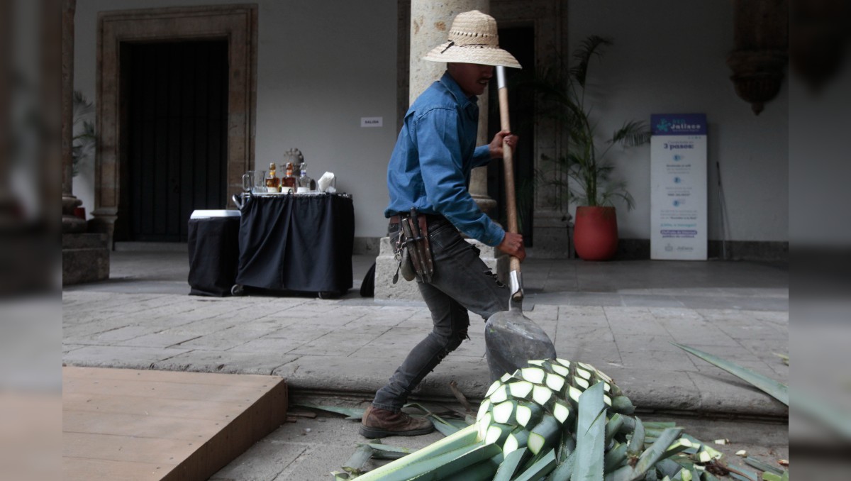 Cada julio se celebra el Día Internacional de Tequila (Fernando Carranza)
