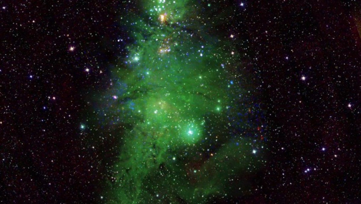 La evolución de la vida podría tener su origen en el espacio exterior
