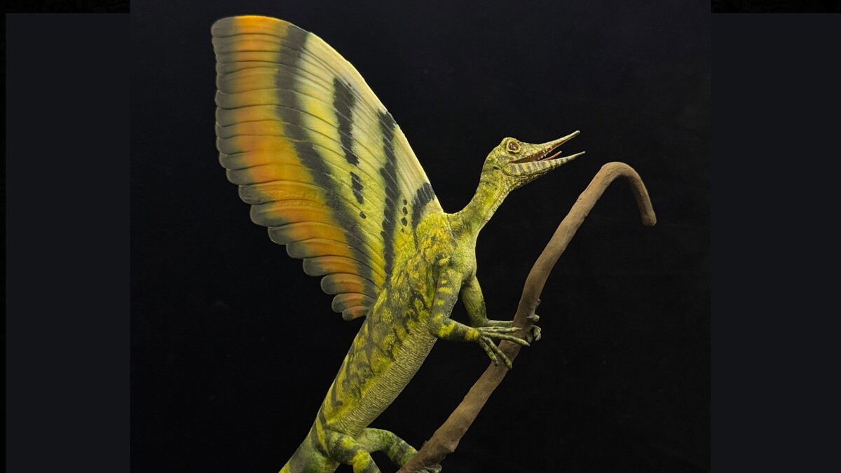 Reconstrucción artística de Mirasaura, que significa "reptil maravilloso" en latín. (Tobias Wilhelm/Museo Estatal de Sttutgard (NY Times).