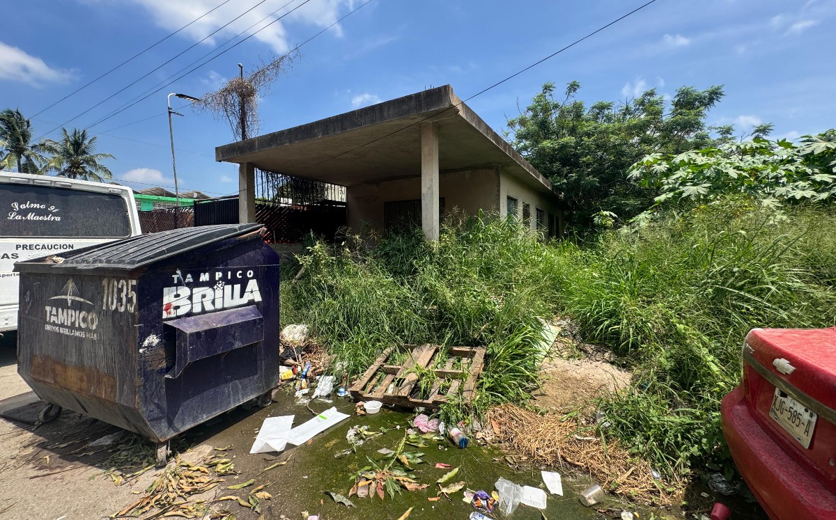 La casa esta ubicada en la esquina de la calle Pino con Encino, Tampico