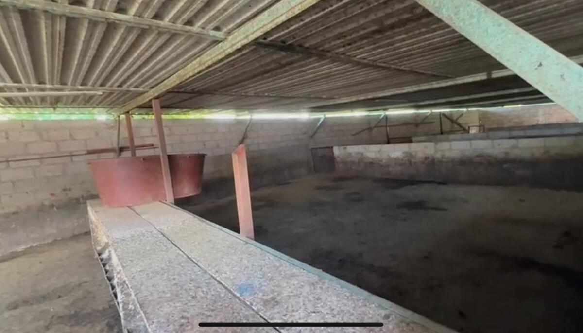 Granja donde se haría la entrega de animales incautados por la SSPC y Fiscalía en el Estado de México | Especial