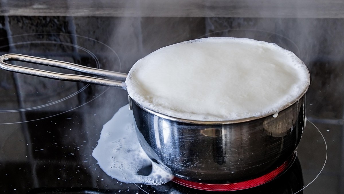 La leche de burra cuenta con estudios sobre sus propiedades | Especial