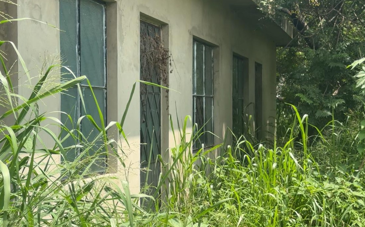 El terreno abandonado genera una gran cantidad de plaga de ratas.