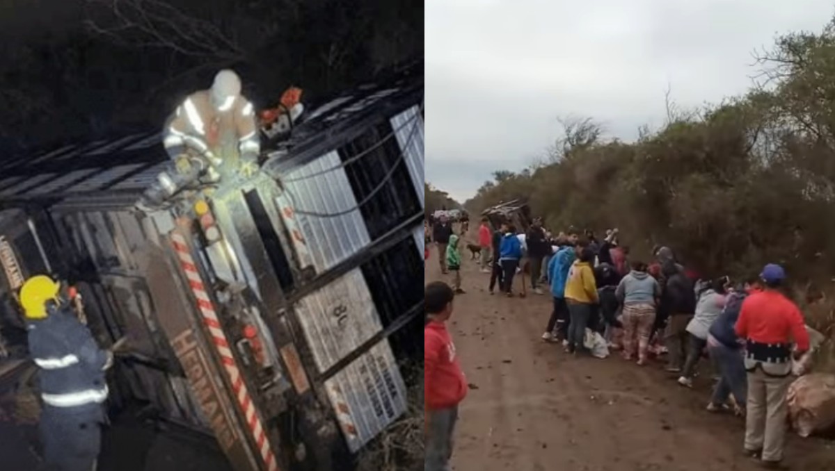 En Argentina, camión cargado de vacas vuelca y vecinos se llevan la carne. | Especial