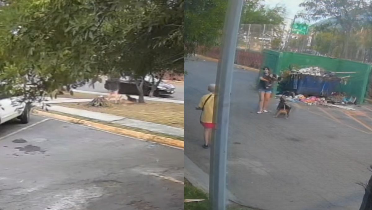 El ataque quedó captado por cámaras de seguridad. Especial