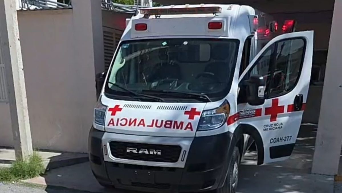 La mordedura ocurrió mientras la niña jugaba en el patio de su casa. | Especial