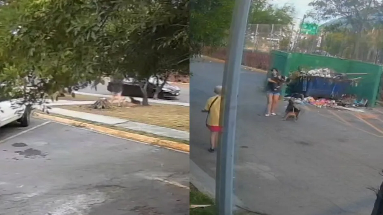 Mujer atacada por dos perros mientras paseaba a su mascota en Monterrey; dueña no intervino