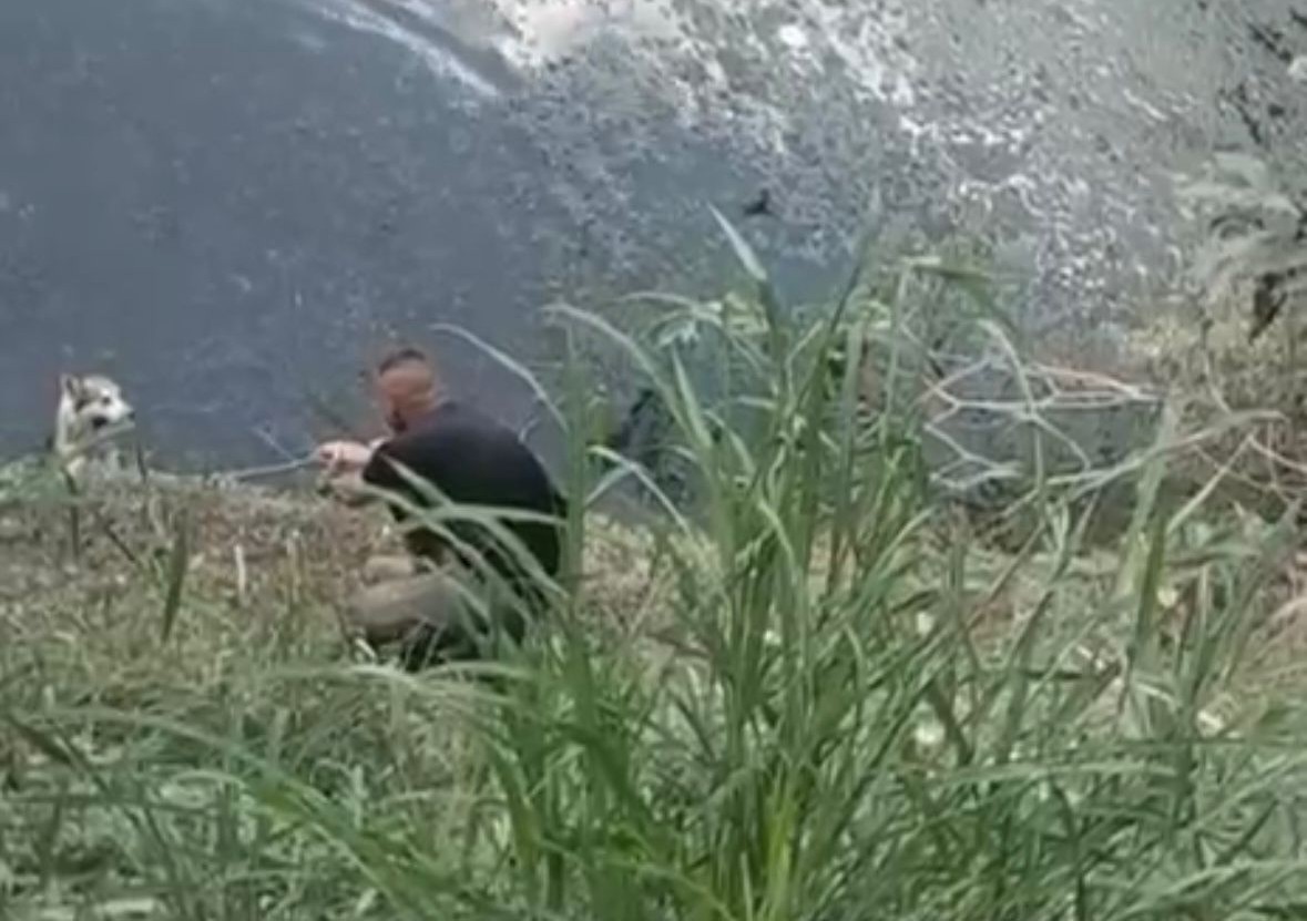 El perrito fue rescatado en El Dean. (Cortesía)