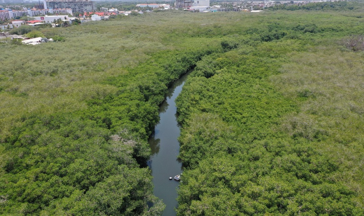 Estero El Salado. (Cortesía)