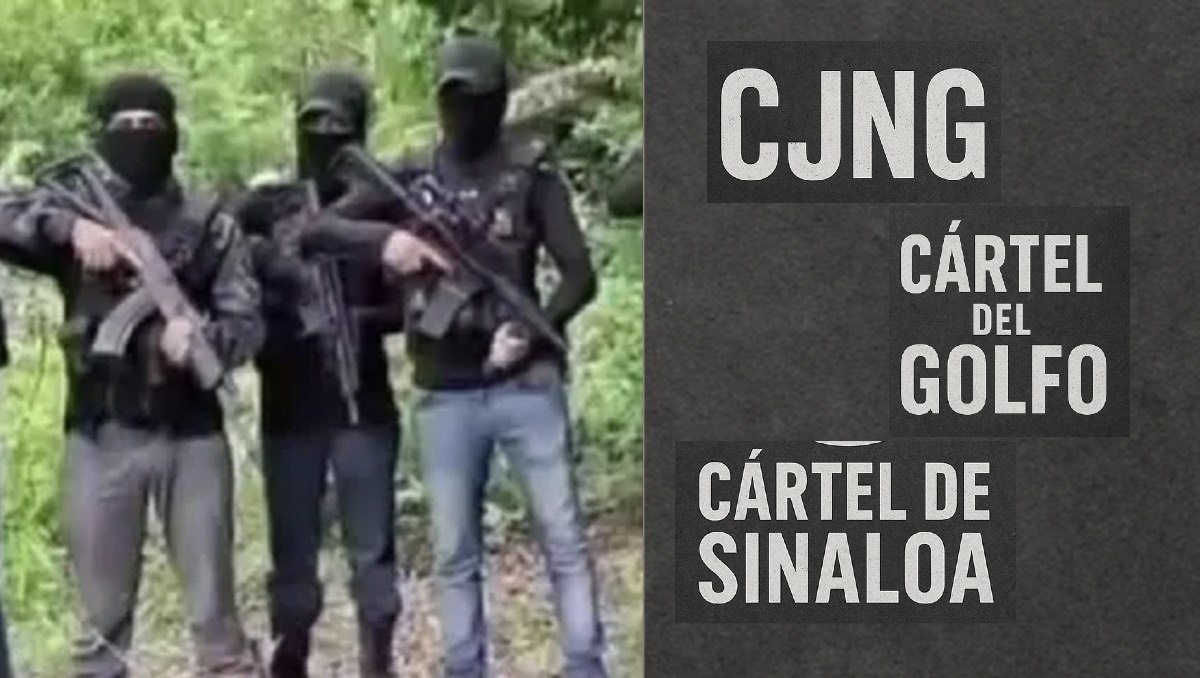 Al menos siete grupos criminales operan en Veracruz | Especial