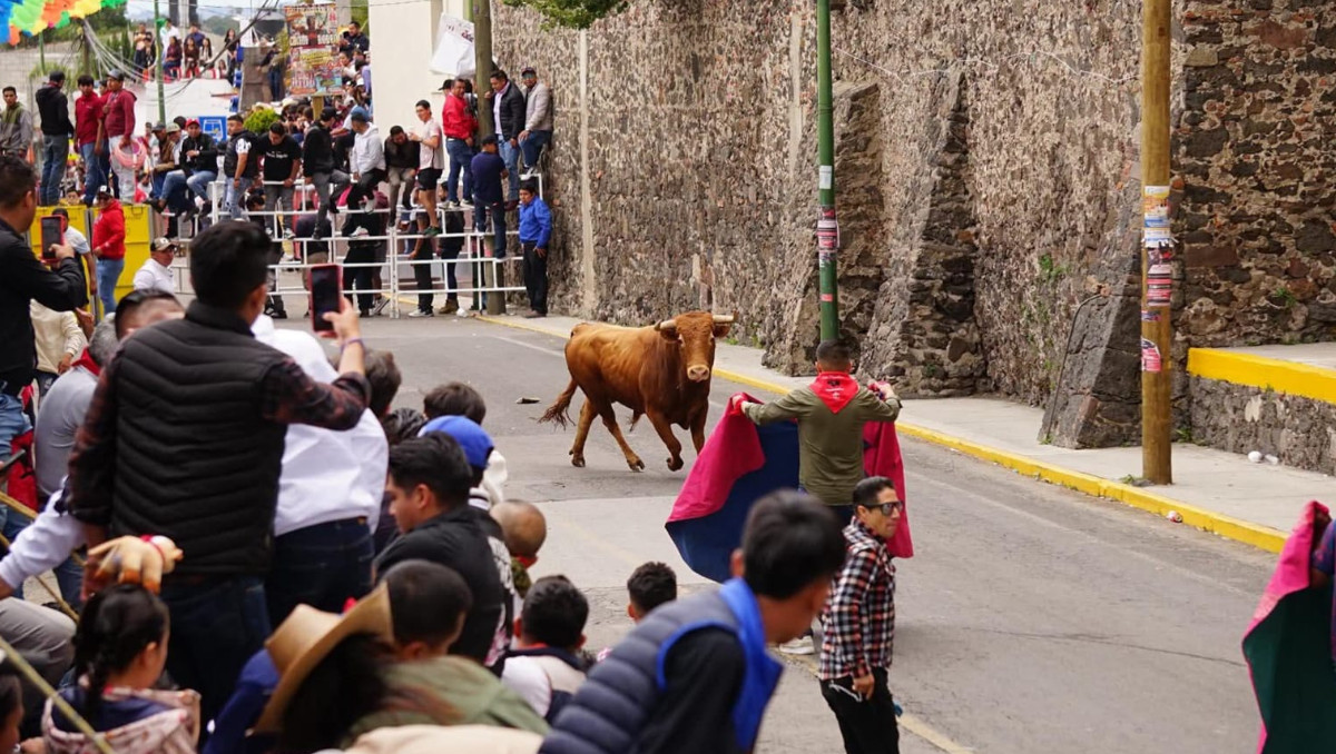 Encierros taurinos callejeros dejan 4 heridos por asta de toro en Tlaxcala | Especial