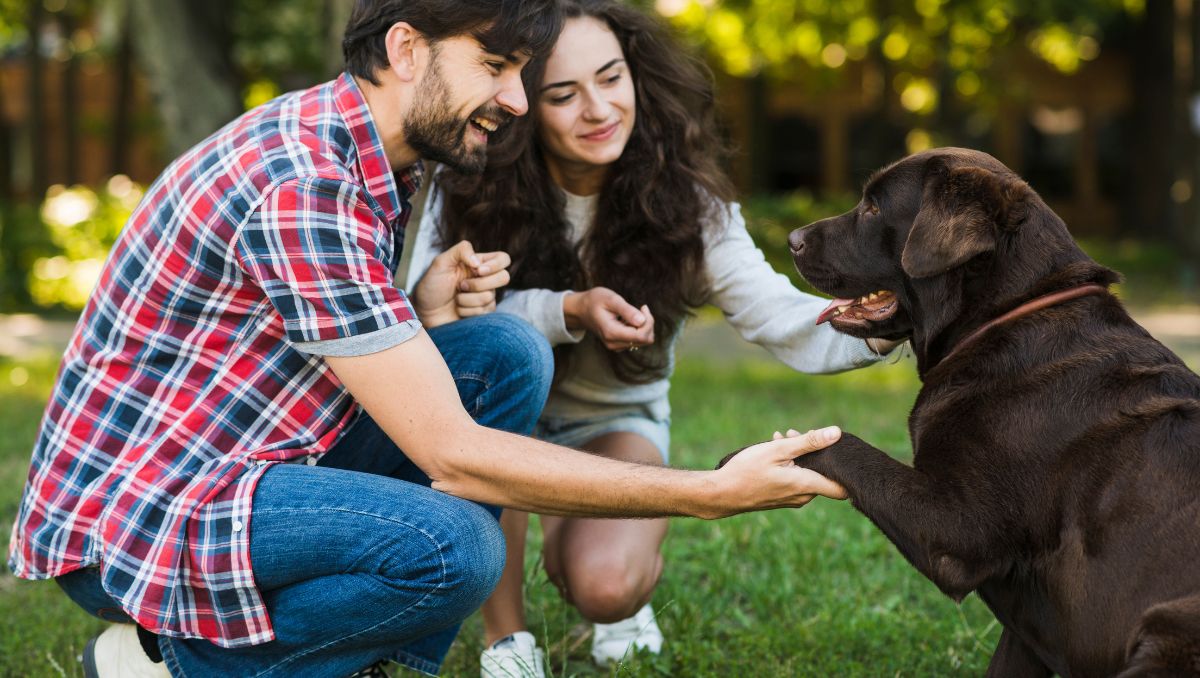 Adoptar un perro también se ha asociado con una reducción del riesgo cardiovascular y una disminución de las respuestas simpáticas| Especial