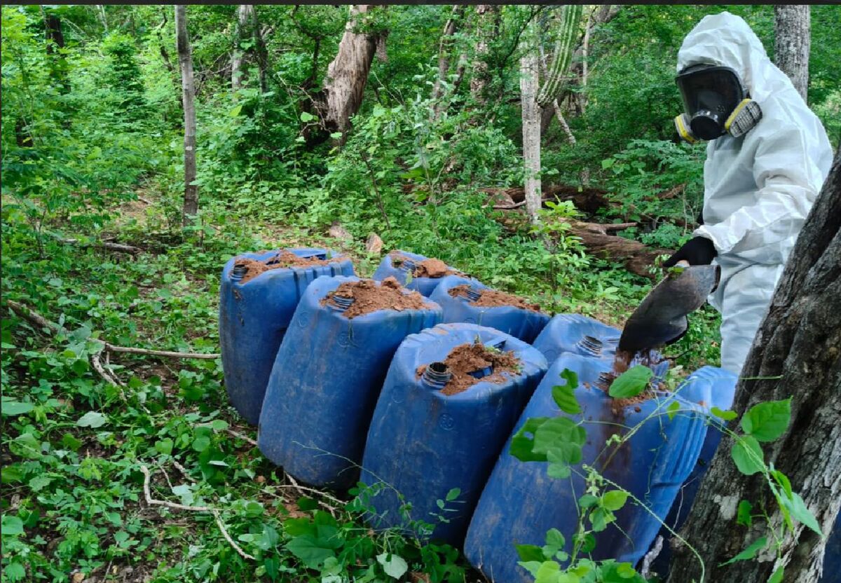 Desmantelan zonas de producción de metanfetamina en Culiacán. | SSPC