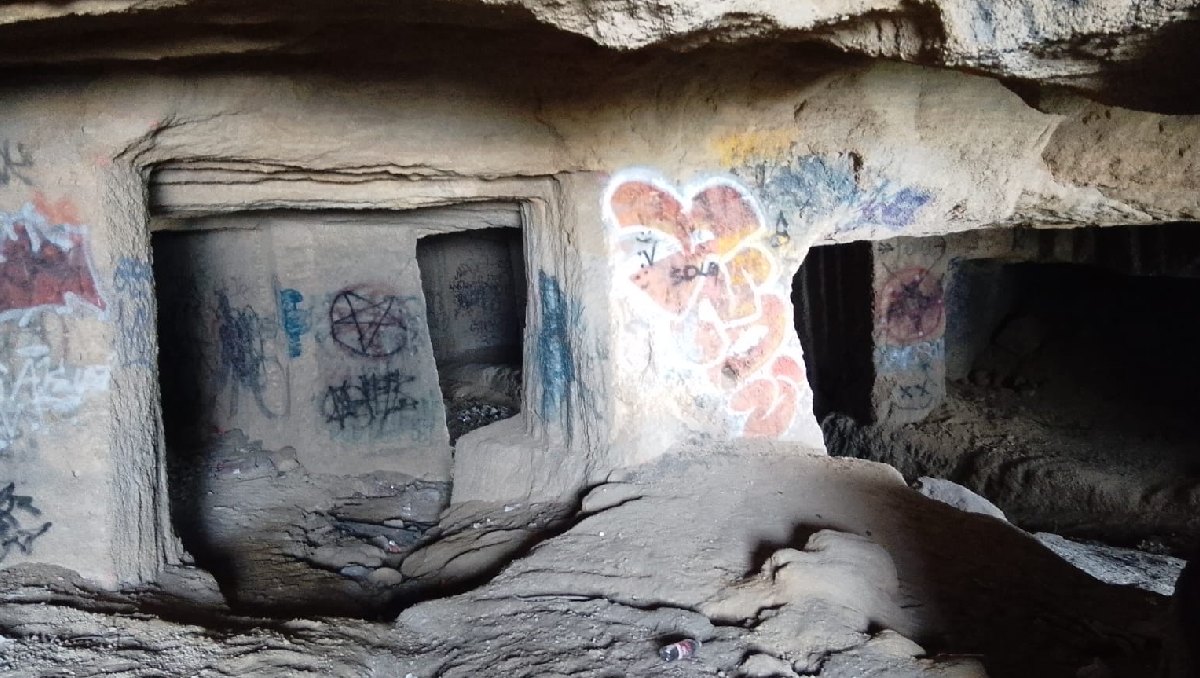 Huellitas de Frida informó que en las cuevas encontraron restos de animales. Foto: (Especial)