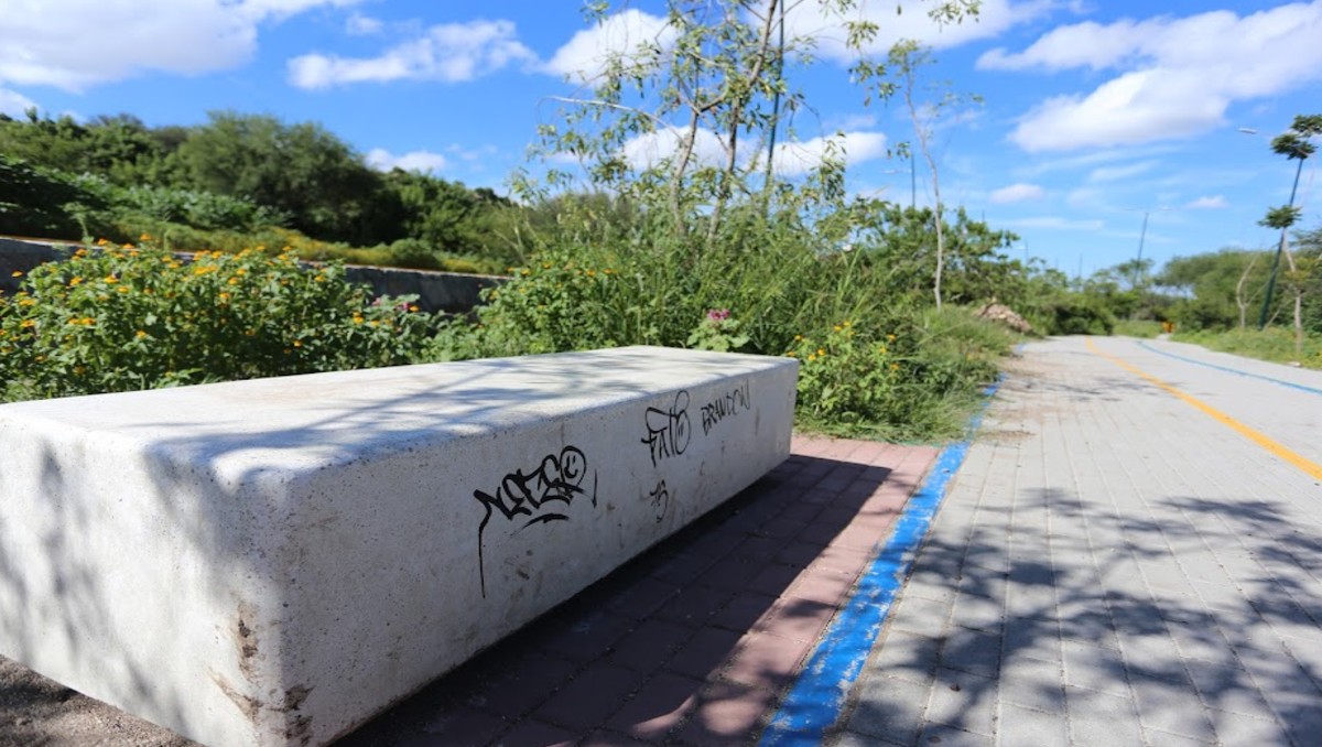 Nuevo Parque Metropolitano de León: grafiteado antes de inauguración | Daniela Béjar
