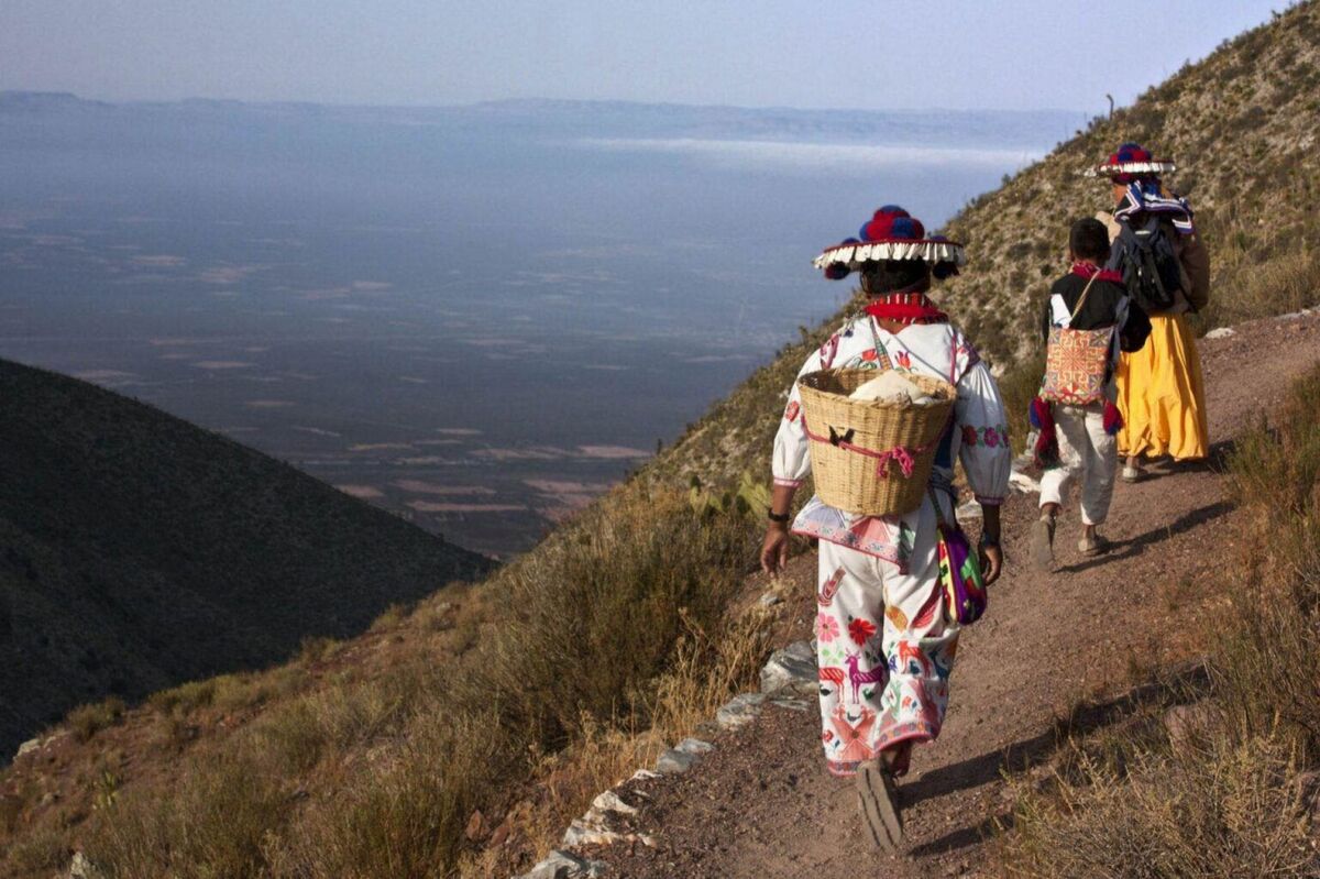 La ruta se extiende, de oeste a noroeste, a lo largo de un corredor biocultural de 600 kilómetros. | Cuartoscuro