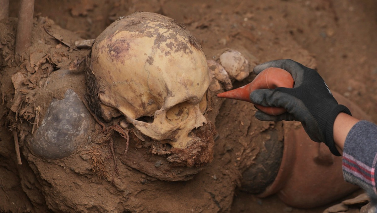 Durante las últimas dos décadas, la compañía involucrada ha encontrado más de 2 mil 200 hallazgos. (AP)