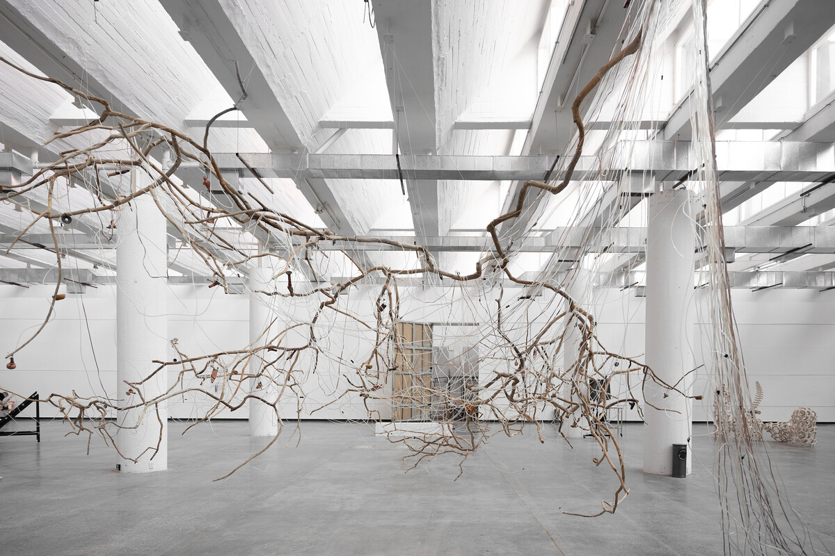 'Waterbirds. Migratory Sound Flow', instalación de Tania Candiani. (Foto: Cristian Martin)