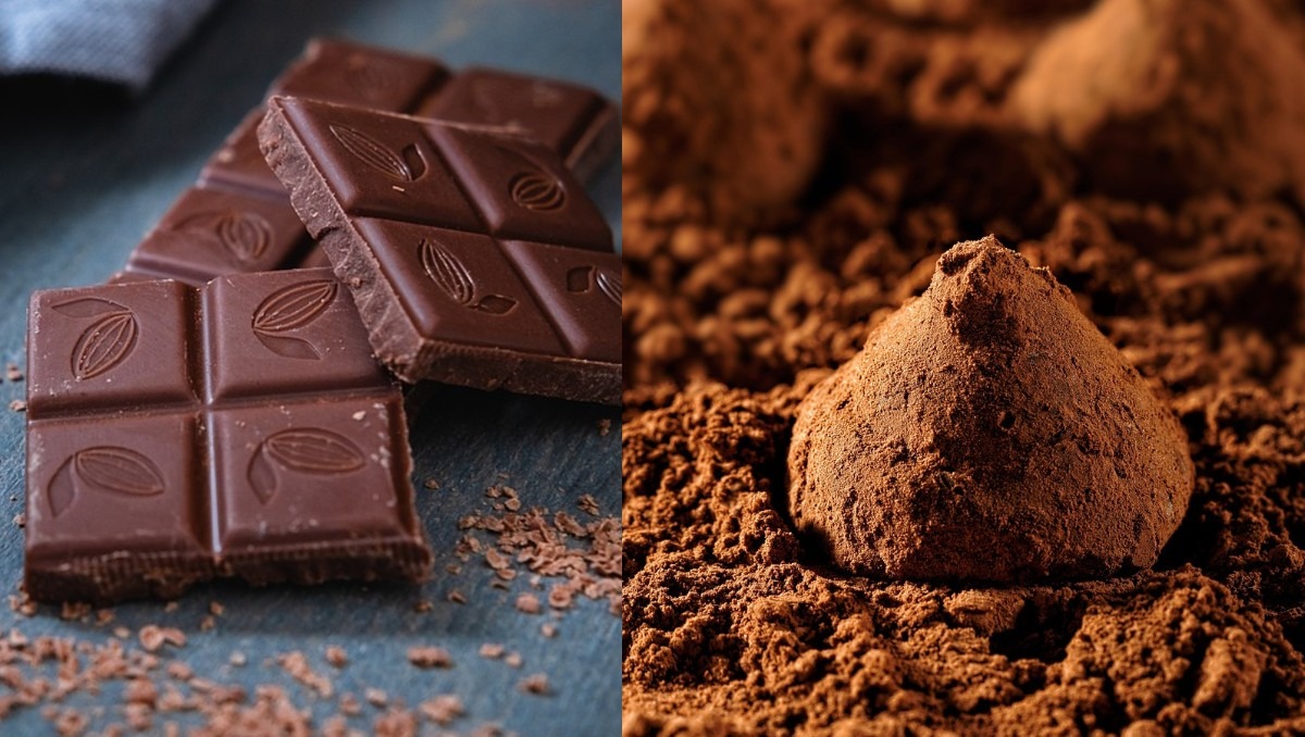 Tampoco son lo mismo el chocolate en polvo y el polvo saborizante de chocolate  | Especial
