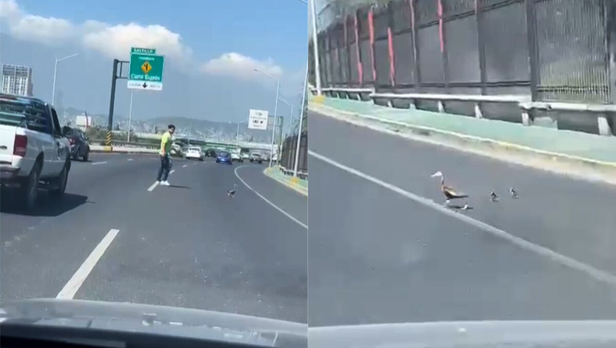 El video fue captado en avenida Constitución. | Especial.