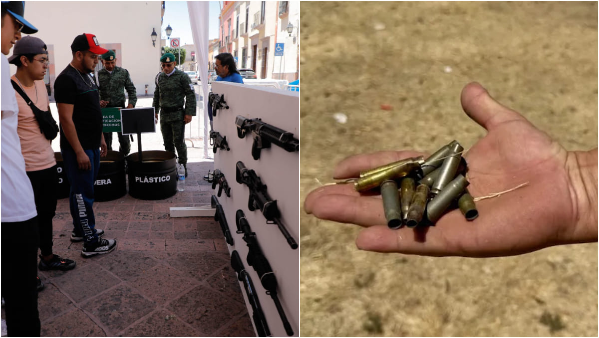 La estricta legislación de las armas de fuego es considerada un problema | Especial