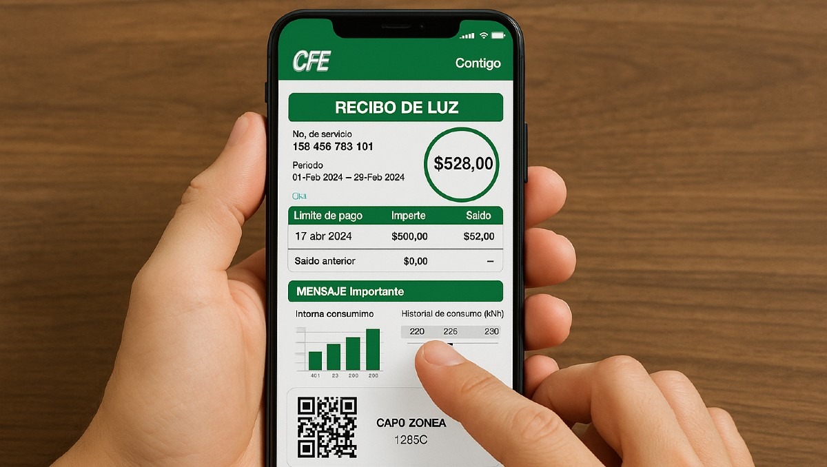 El recibo de luz de la CFE puede ponerse al corriente fácil sin salir de casa | Especial