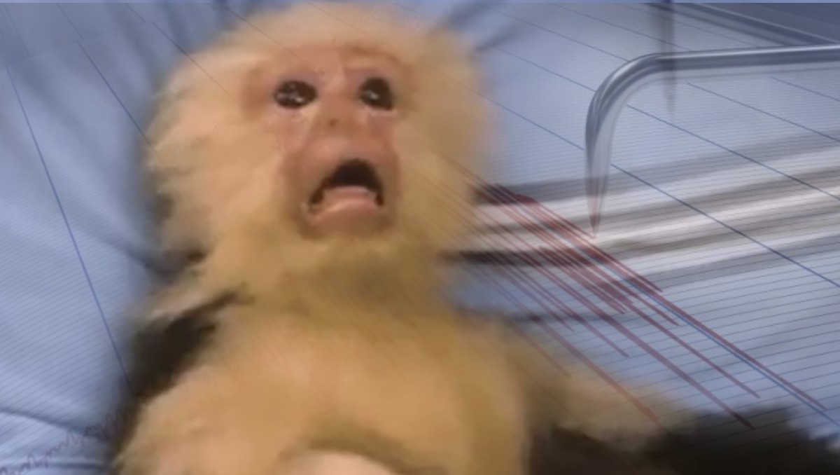 Temblor en Oaxaca se siente en CdMx y los MEMES no perdonan. | X