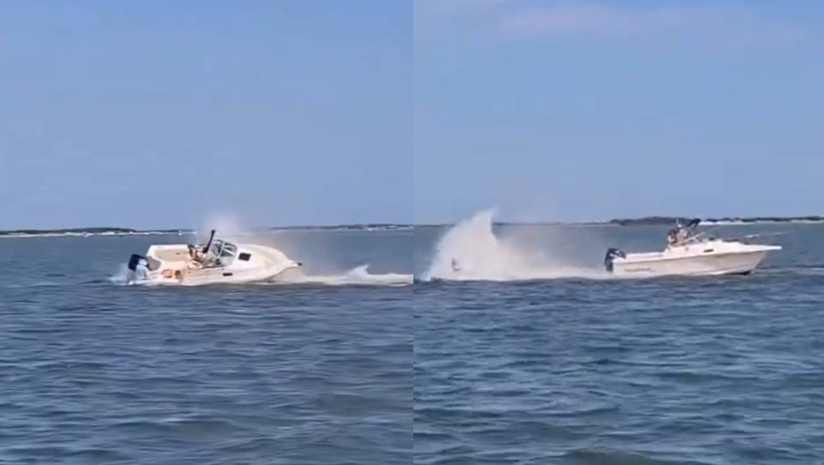 Especialistas consideran que la ballena ya estaba herida antes del impacto. | Captura de pantalla