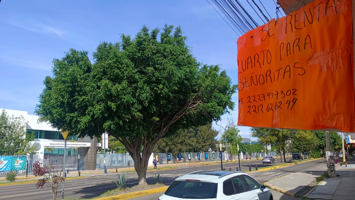 Rentas para estudiantes en CU van de los mil 500 a los 3 mil pesos | Leslie Mora