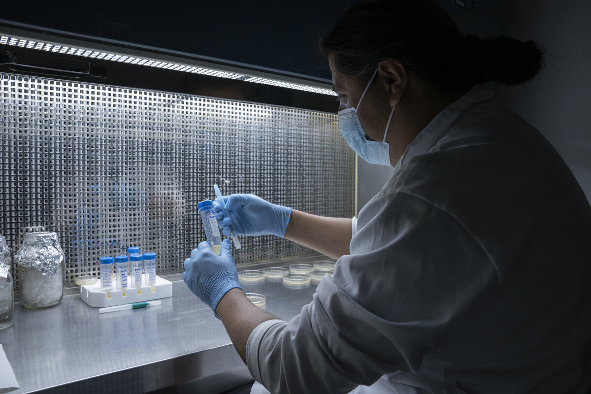 'Inscripciones' es un laboratorio en movimiento que entrelaza arte, ciencia, biotecnología y activismo urbano. (Foto: Leonardo Luna)
