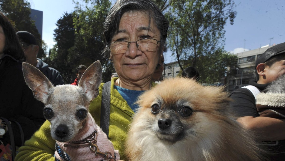 Las mascotas traen beneficios físicos y psicológicos al adulto mayor | Cuartoscuro