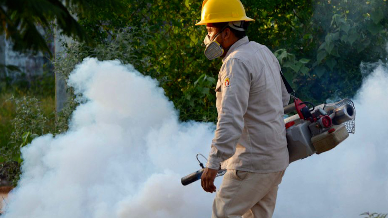 Oaxaca activa cerco sanitario en zona limítrofe con Puebla por aumento de dengue