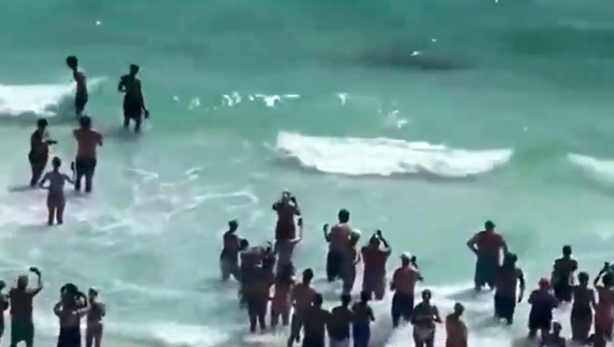 Pelea marina desata revuelo. | ESPECIAL
