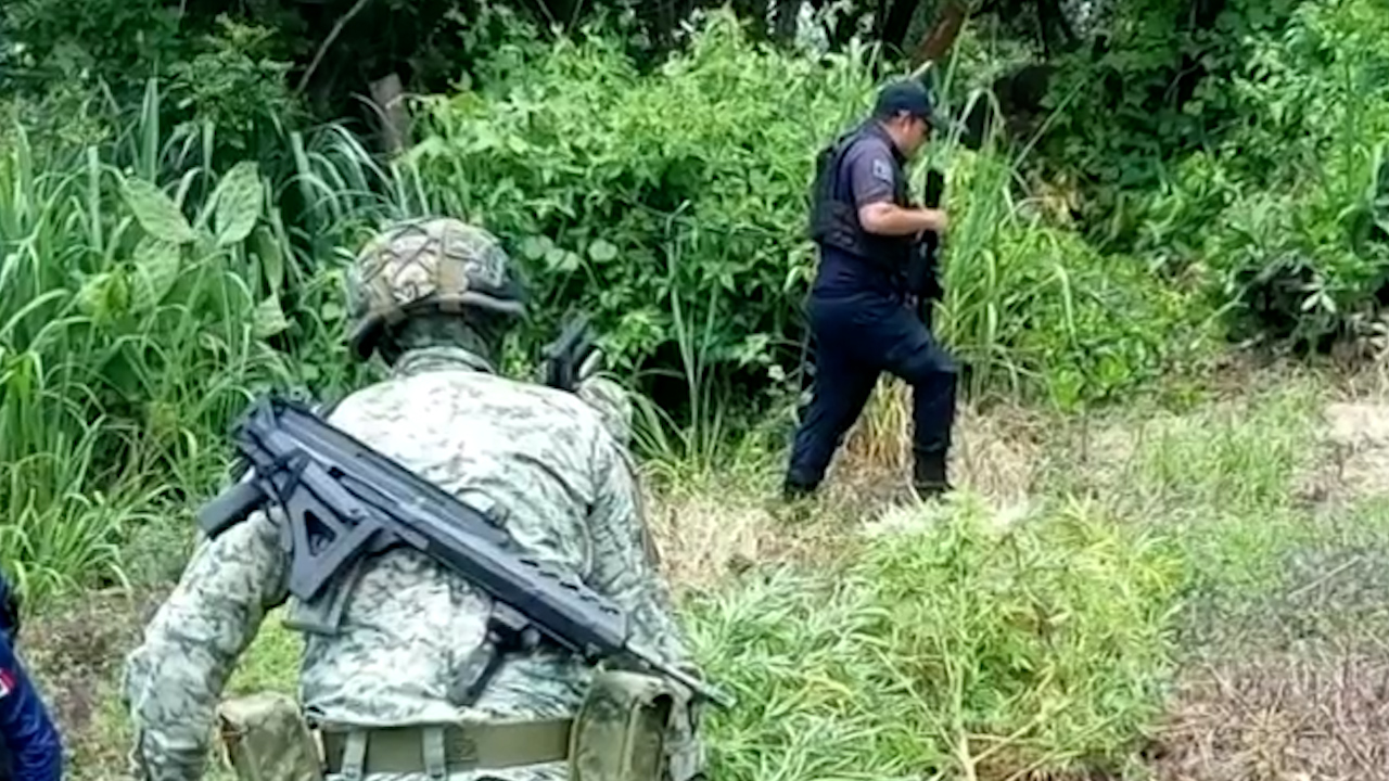 Golpe al crimen en Michoacán: Ejército elimina nueve minas y desmantela narcocampamento