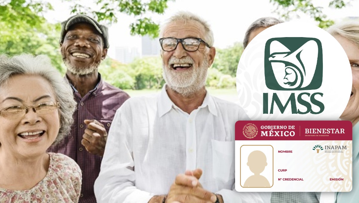 INAPAM apoya a los adultos mayores con trabajos dignos.
