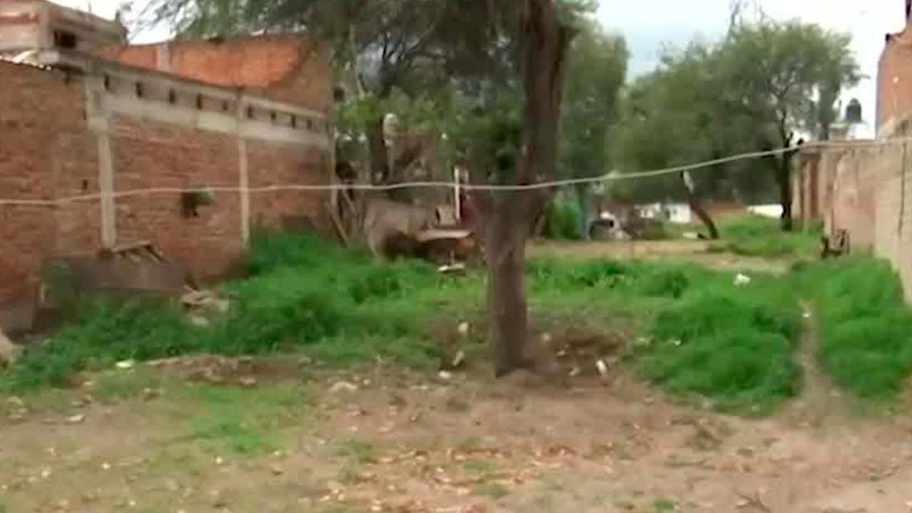 Guanajuato registra más de 750 fosas clandestinas localizadas desde 2009