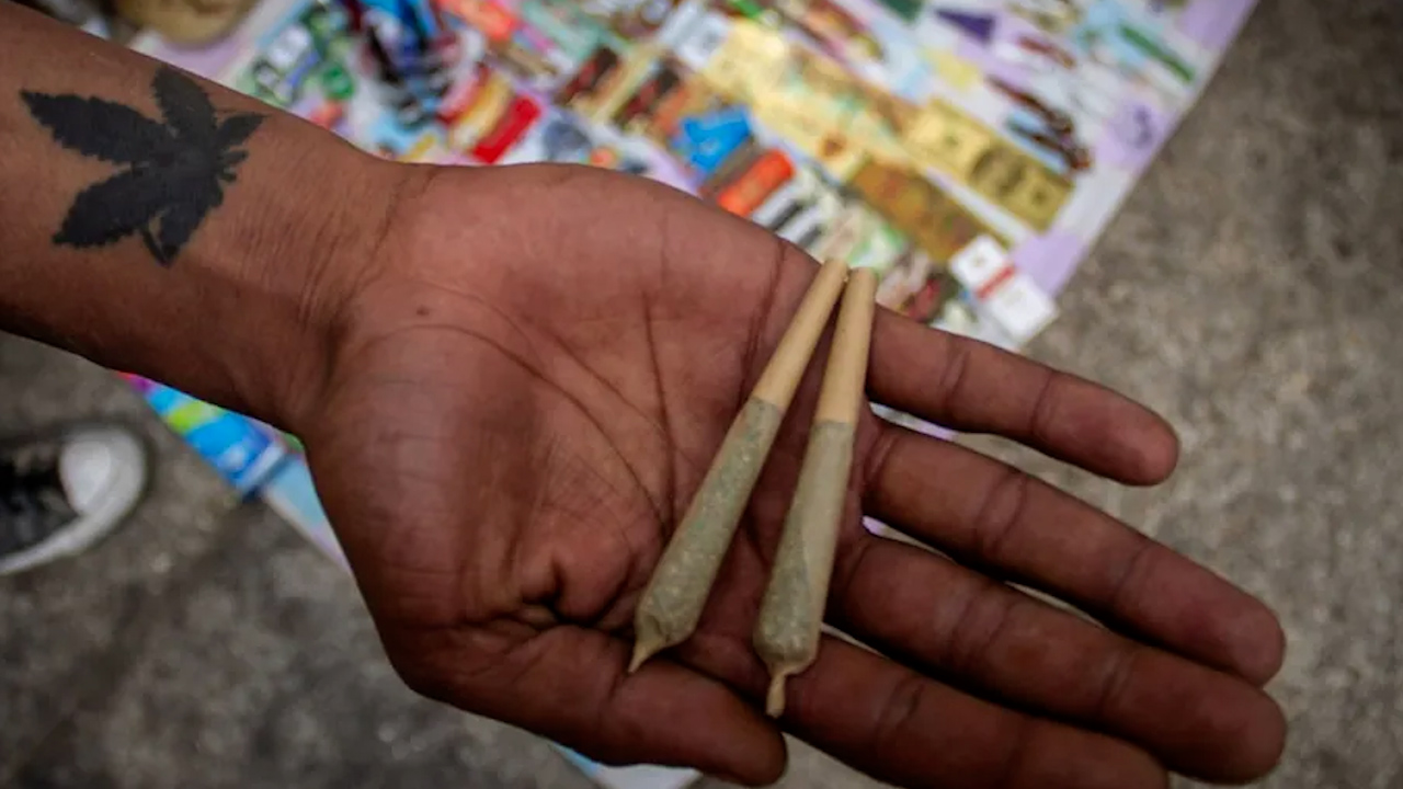 Polémica por reubicación de puntos de consumo de cannabis en CdMx