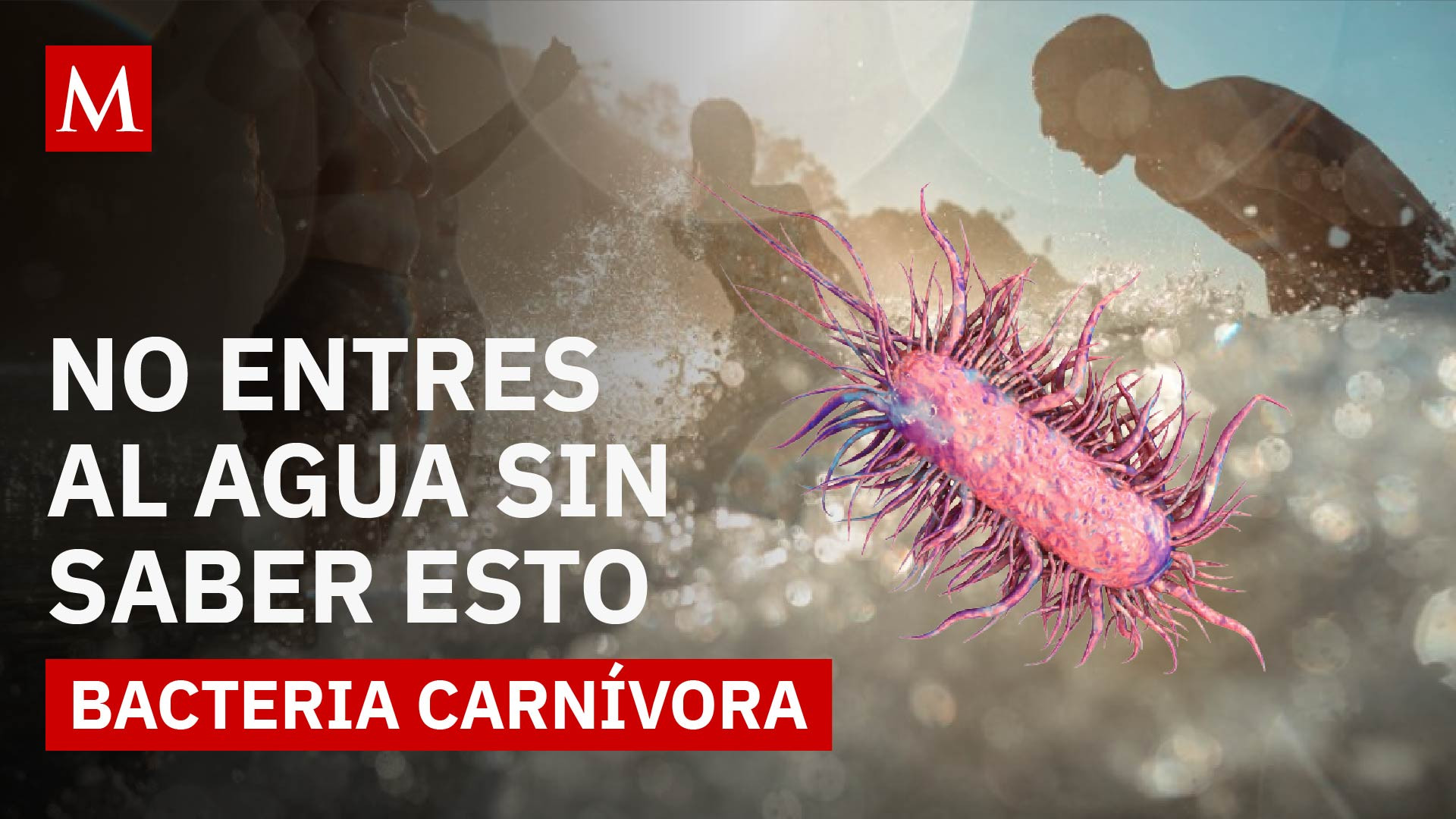 Vibrio vulnificus: la bacteria letal del mar que podría cambiar tus planes de playa